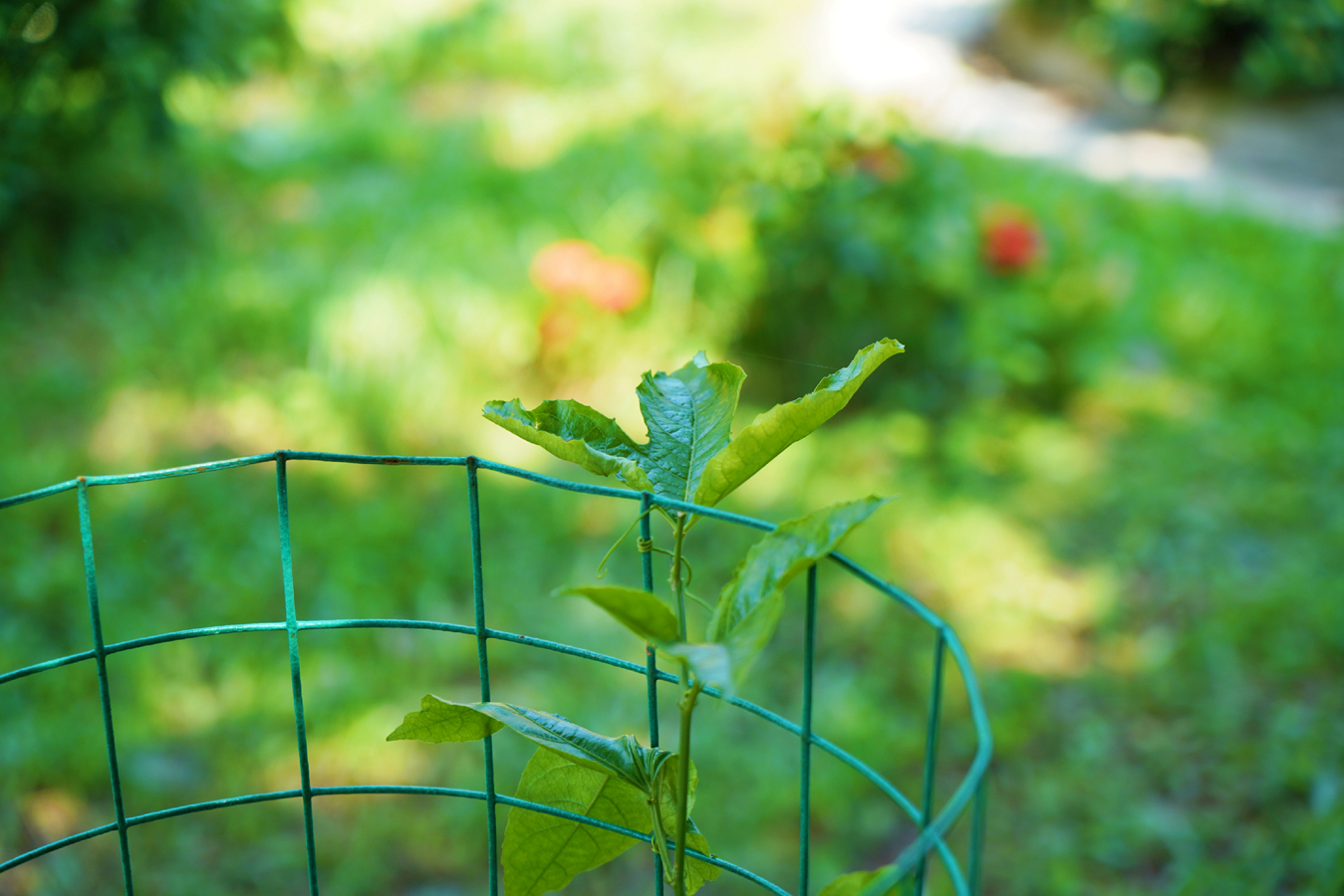 ����360��(�й���)�ٷ���վ